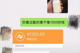 苍山要账公司更多成功案例详情